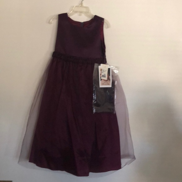Jessica McClintock Other - Jessica McClintock Little girls Purple Dress